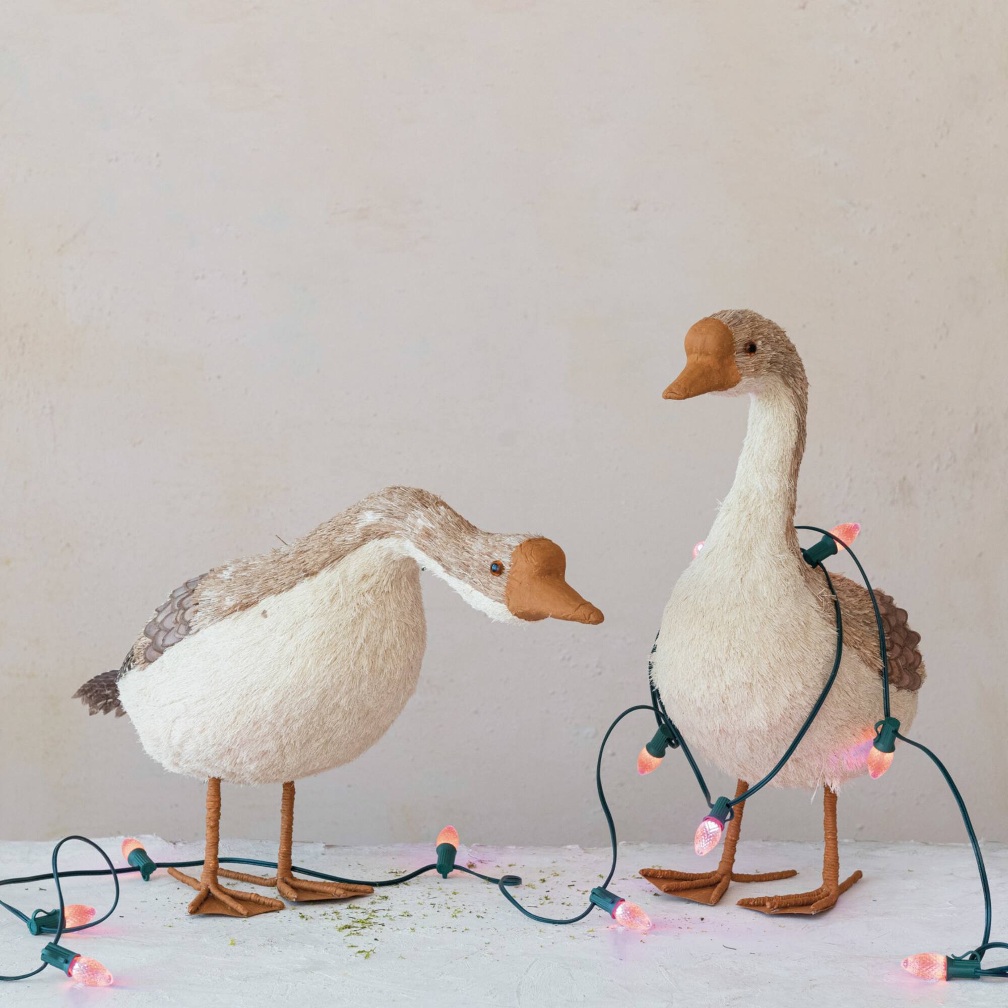 Hello Honey® 21.5" Dried Grass & Foam Goose